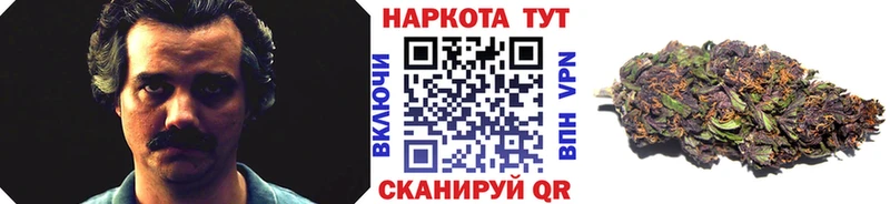 Каннабис Ноябрьск