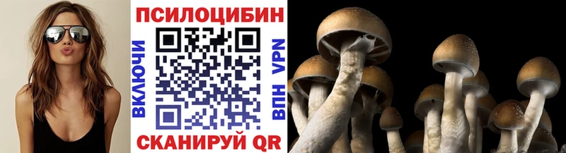 darknet Telegram Ноябрьск Псилоцибиновые грибы ЛСД закладки