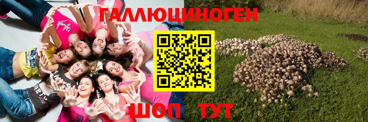 Псилоцибиновые грибы Cubensis  где купить   Ноябрьск  Вход с VPN 