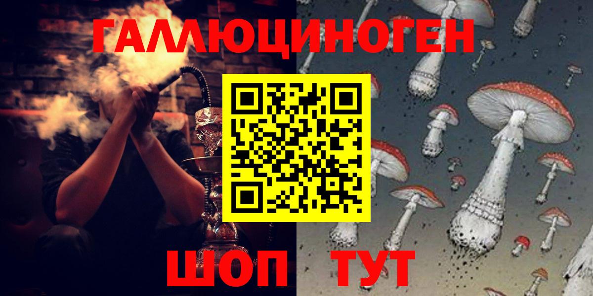 Галлюциногенные грибы Psilocybe Ноябрьск