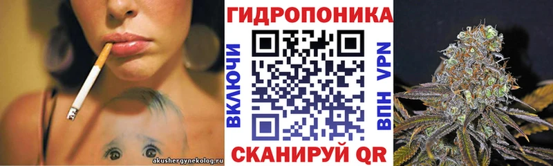 наркошоп  Ноябрьск  Конопля семена 